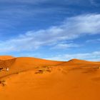 Morgens in der Sahara bei Merzouga