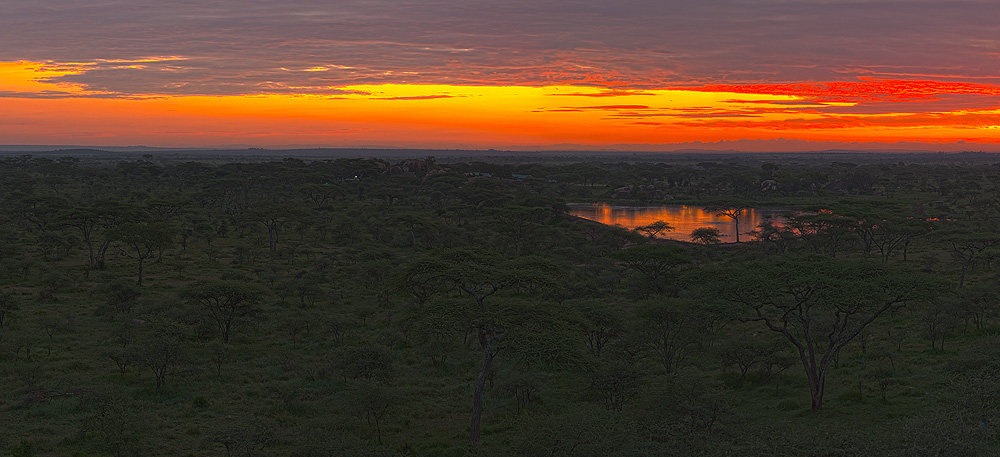 Morgens in der Serengeti