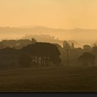 Morgens in der Toskana