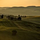 Morgens in der Toskana in der Nähe von Pienza 1