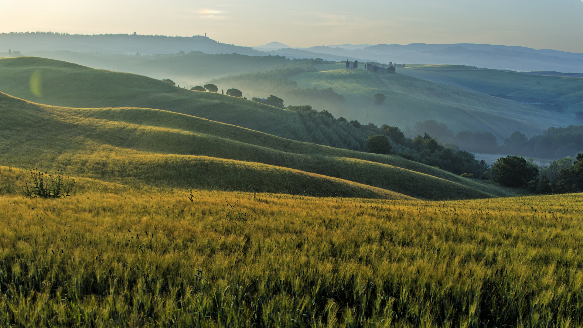 Morgens in der Toskana in der Nähe von Pienza 2