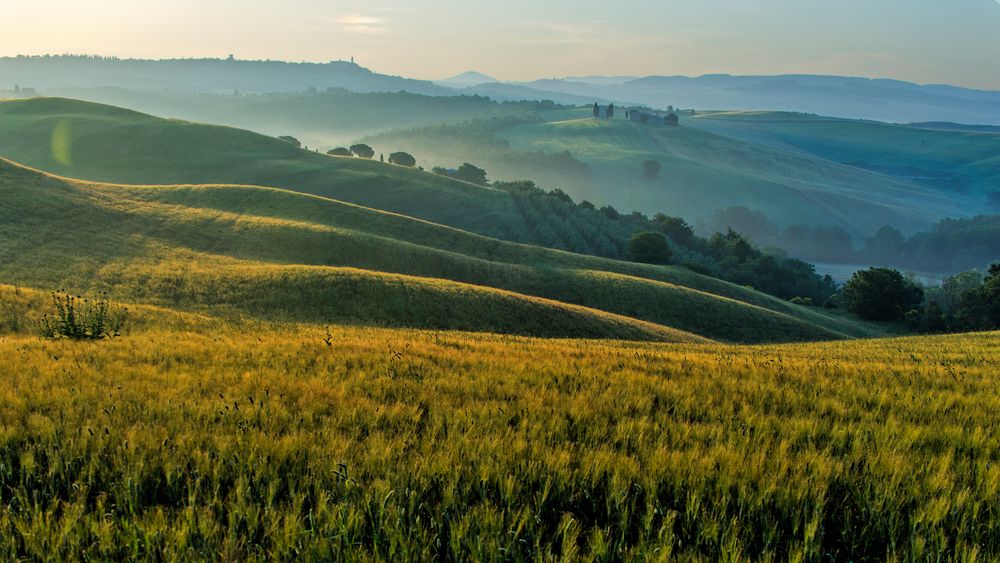 Morgens in der Toskana in der Nähe von Pienza 2