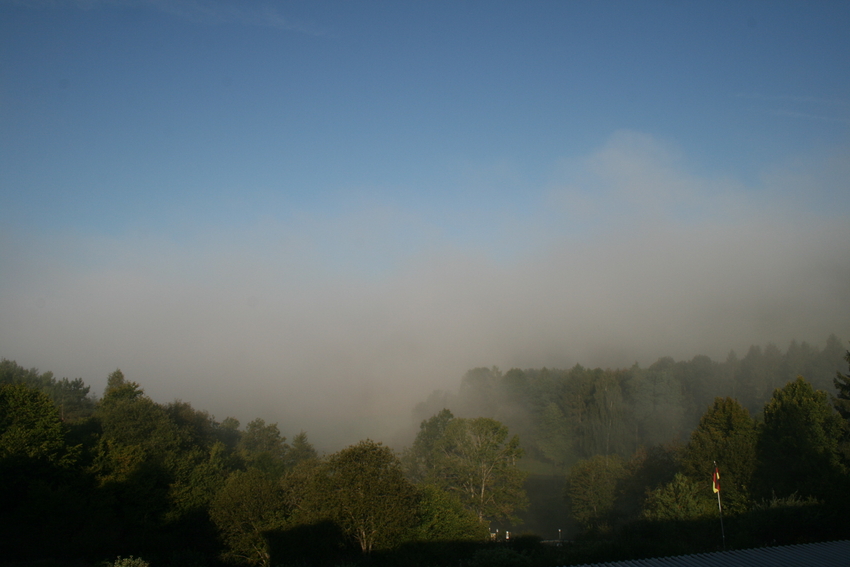 Morgens in der Vulkaneifel