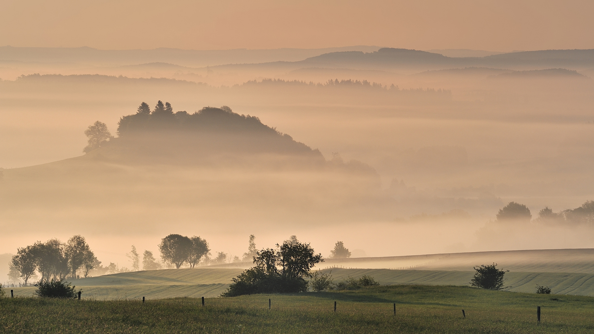 *morgens in der Vulkaneifel*