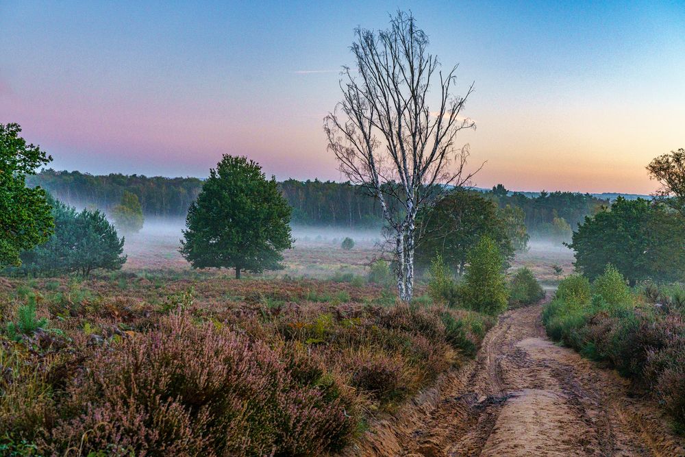 Morgens in der Wahner Heide 03, 2021.10.08