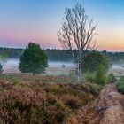 Morgens in der Wahner Heide 03, 2021.10.08