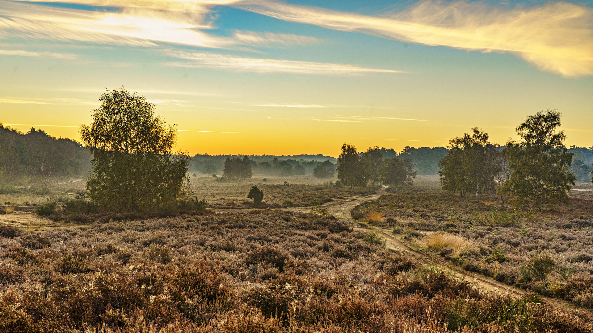 Morgens in der Wahner Heide 04, 2021.10.10