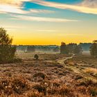 Morgens in der Wahner Heide 04, 2021.10.10