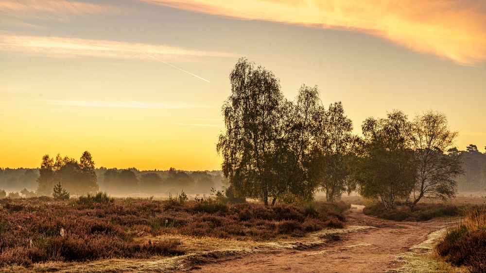 Morgens in der Wahner Heide 06, 2021.10.10