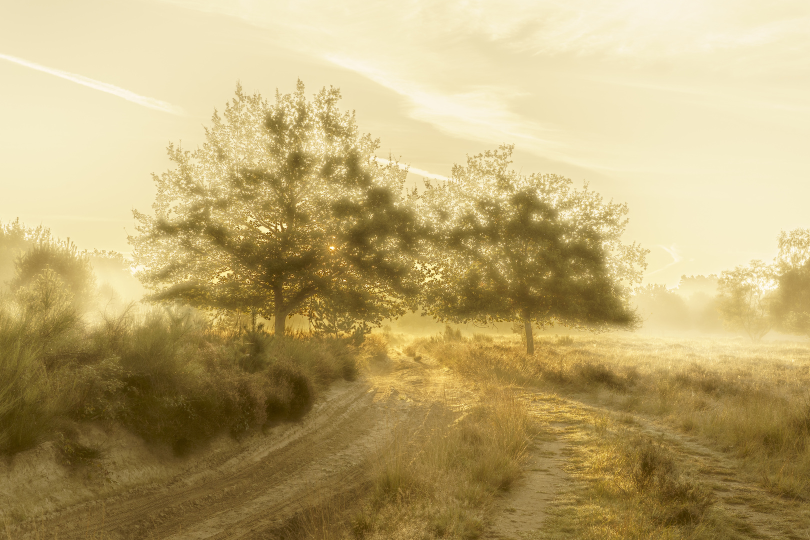 Morgens in der Wahner Heide 07, 2021.10.10