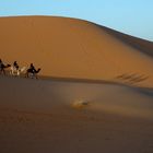 Morgens in der Wüste