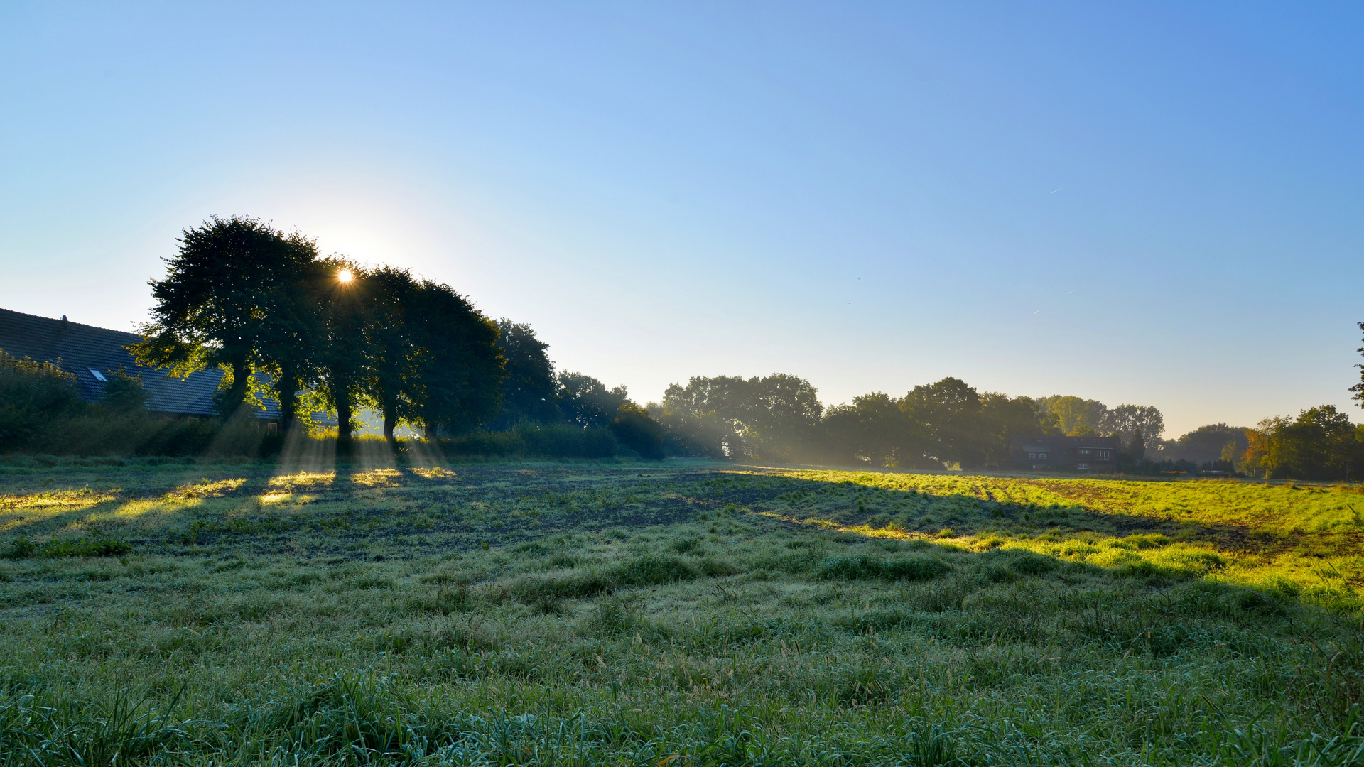 Morgens in Drevenack