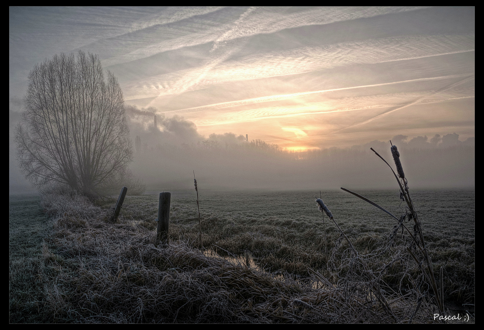 " Morgens in Duisburg"