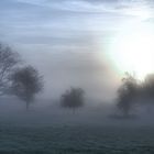 Morgens in Emmerich am Niederrhein