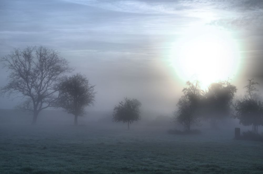 Morgens in Emmerich am Niederrhein