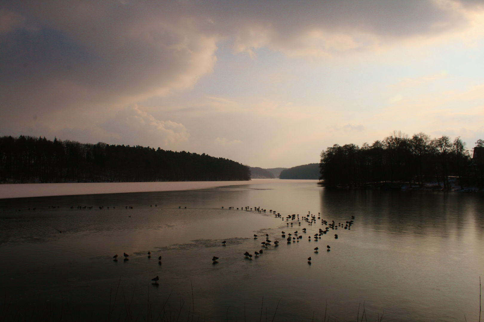 morgens in Feldberg