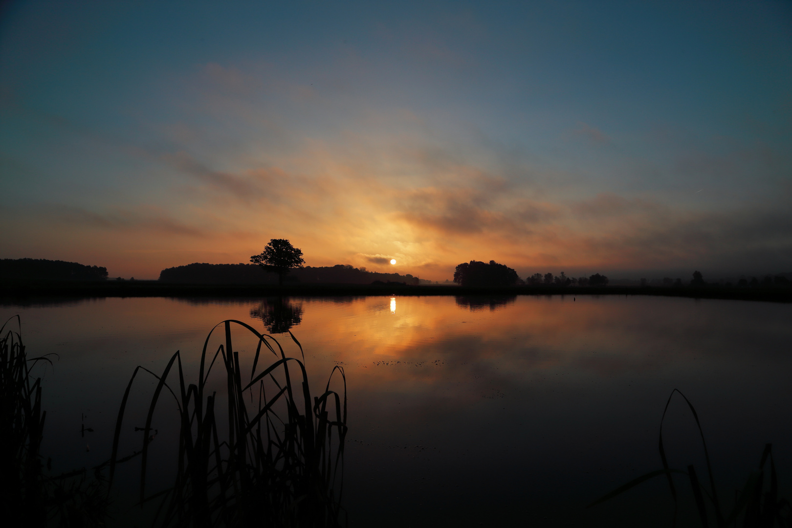 Morgens in Franken