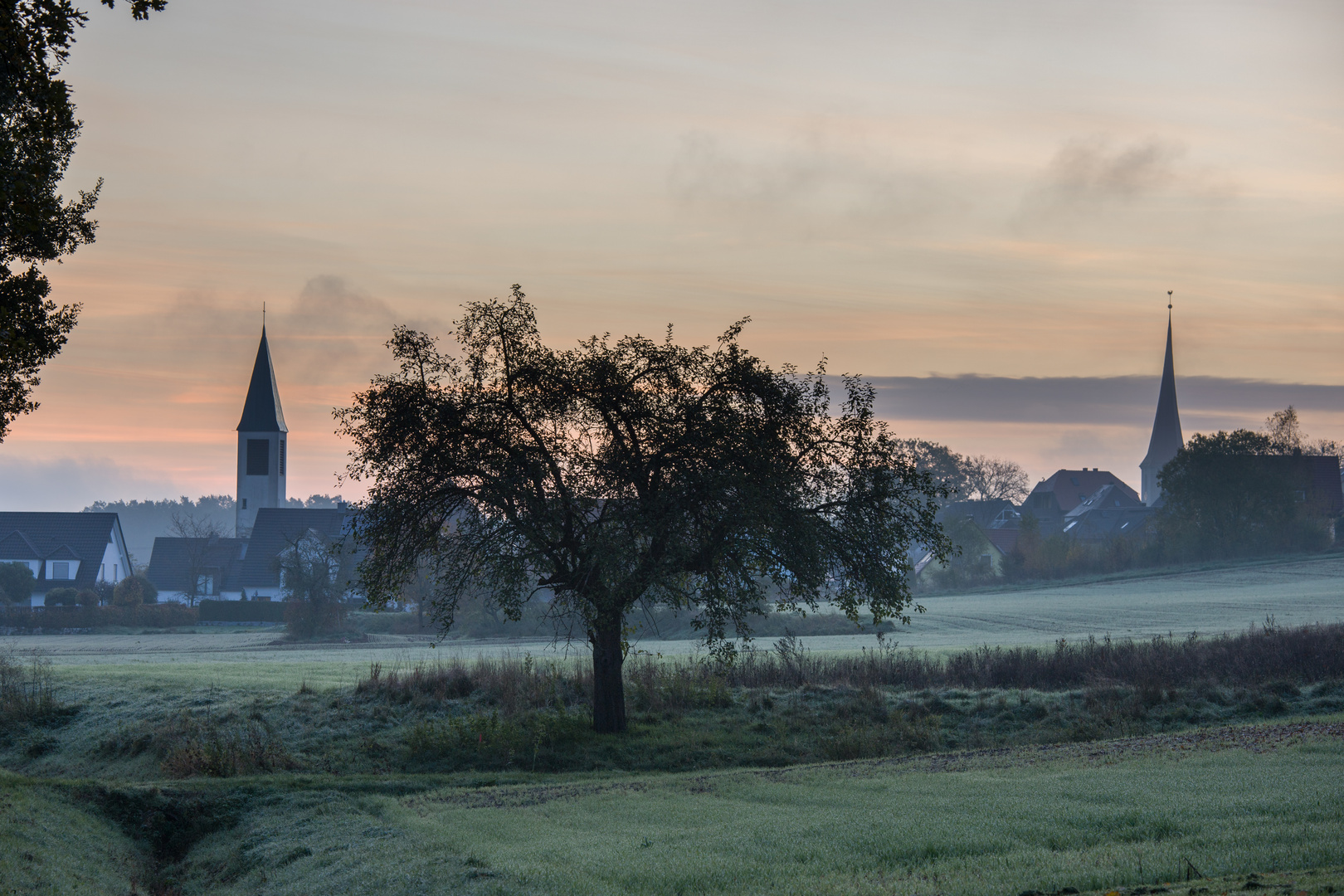 Morgens in Franken