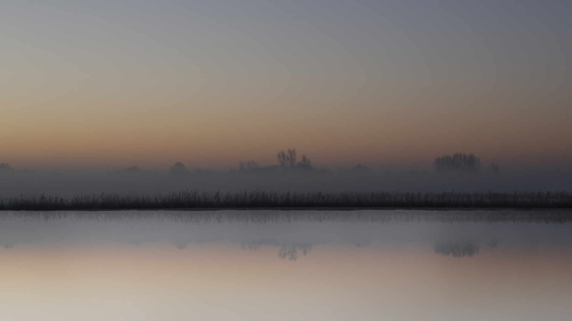 Morgens in Friesland