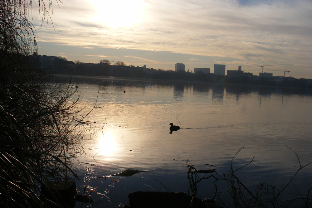 Morgens in Hamburg