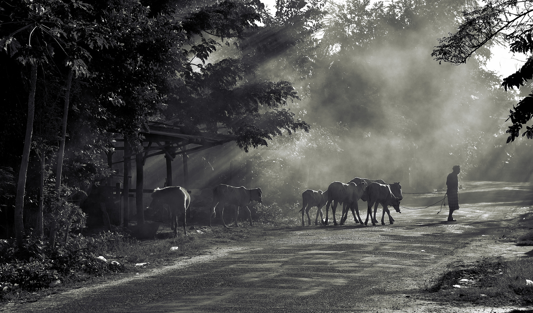 Morgens in Kambodscha