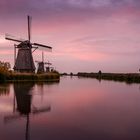 Morgens in Kinderdijk