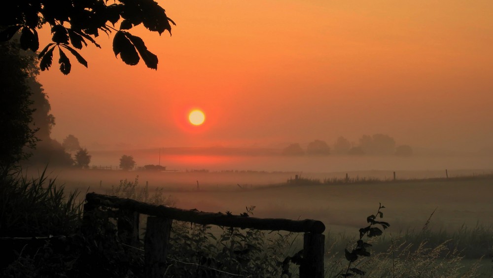 morgens in Meck-Pomm von Susanne Meier