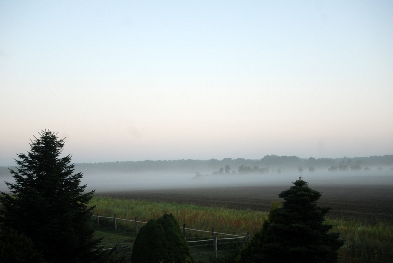 Morgens in Niedersachsen