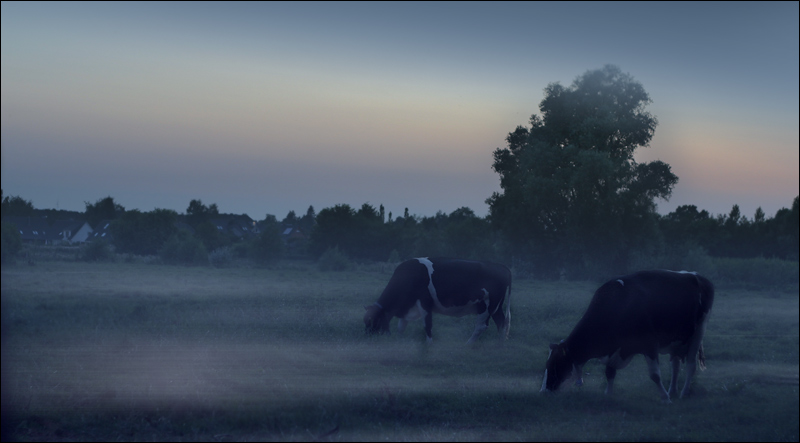 Morgens in Norddeutschland