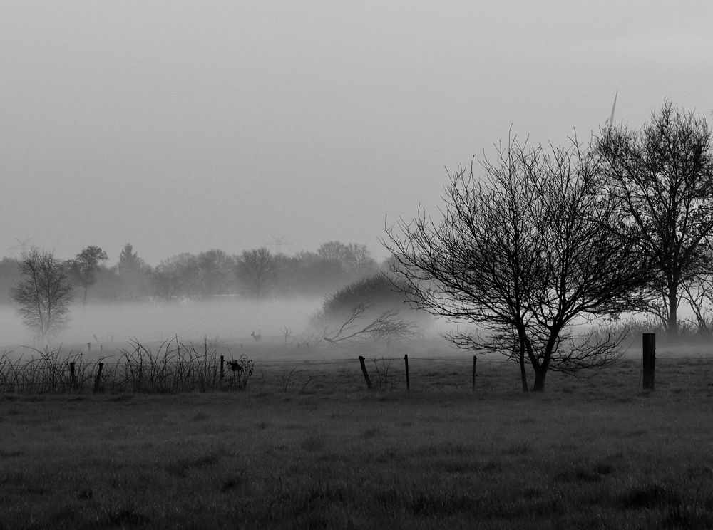 Morgens in Ostfriesland 