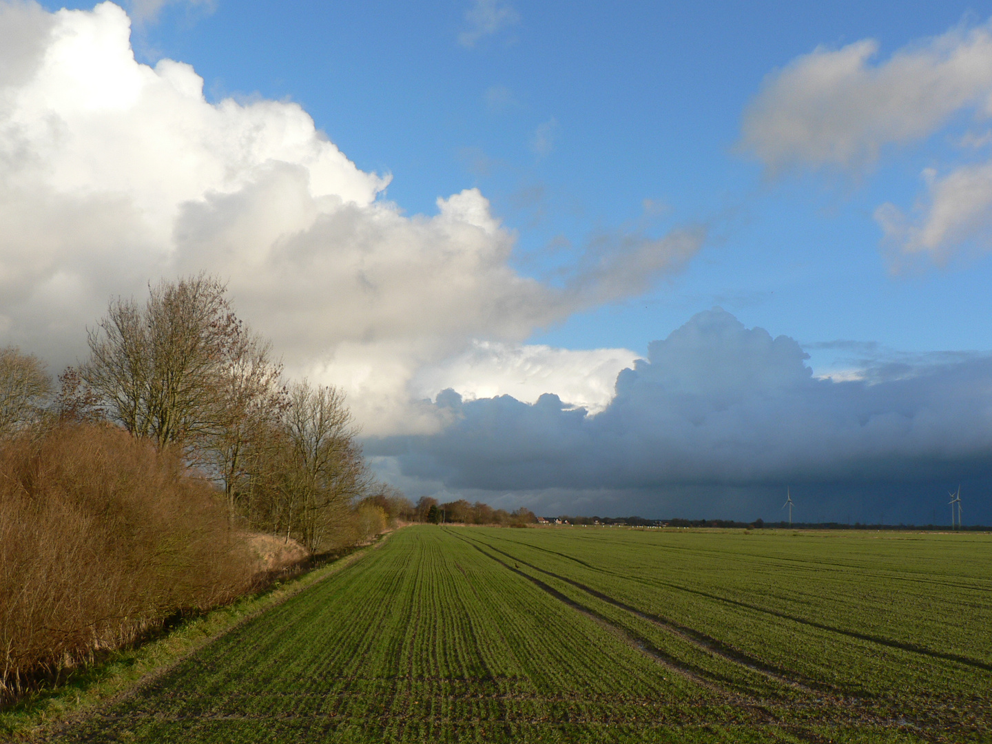 morgens in Ostfriesland