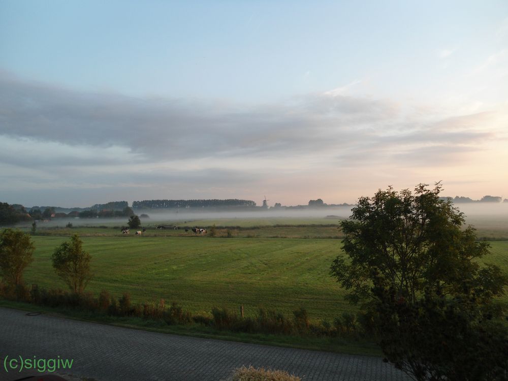 Morgens in Ostfriesland.....