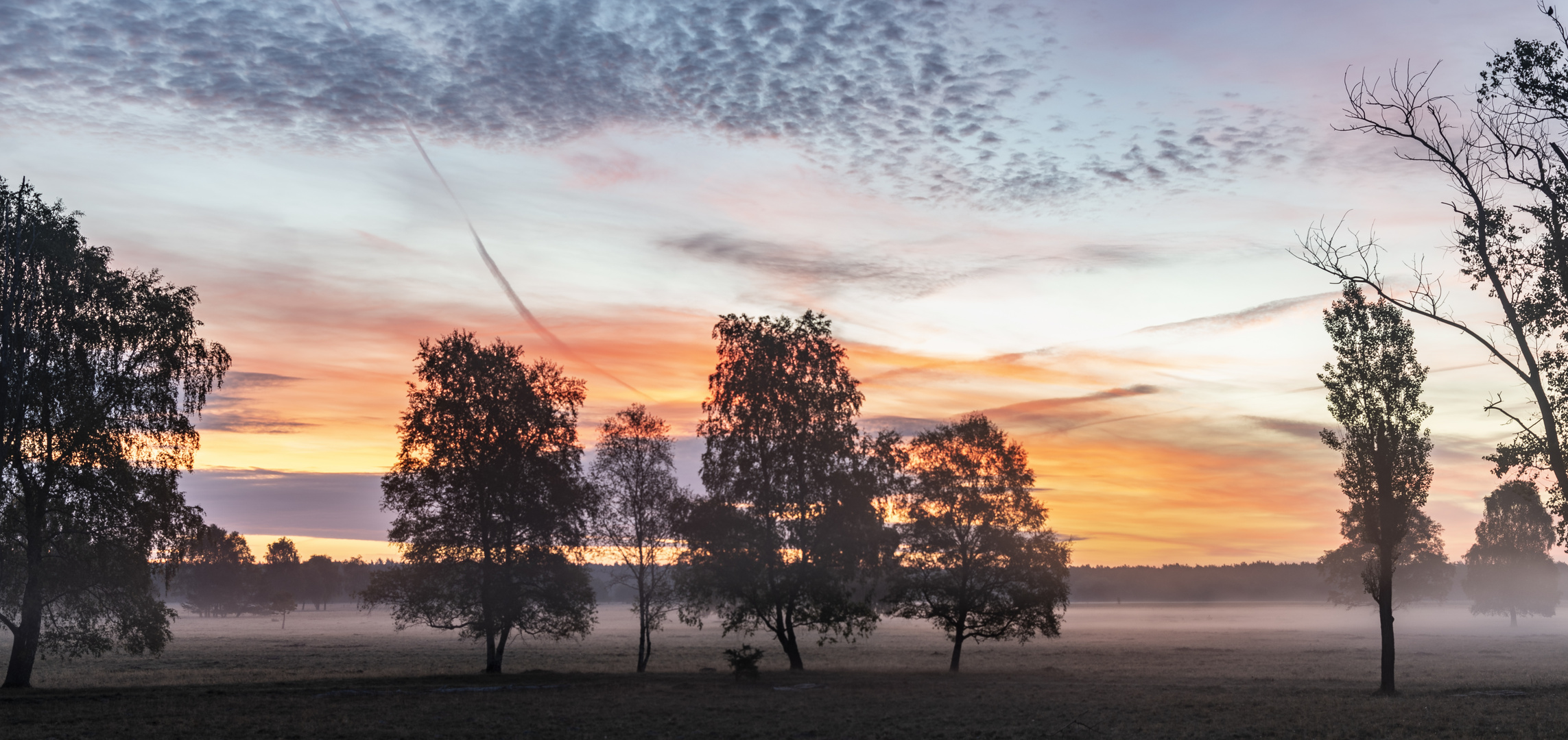 Morgens in Reinsehlen, Lüneburger Heide