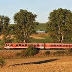 Morgens in Rheinhessen - I -