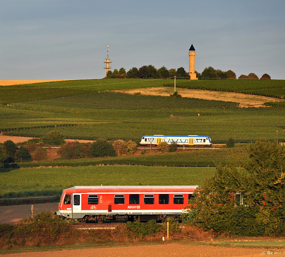 Morgens in Rheinhessen - VI -