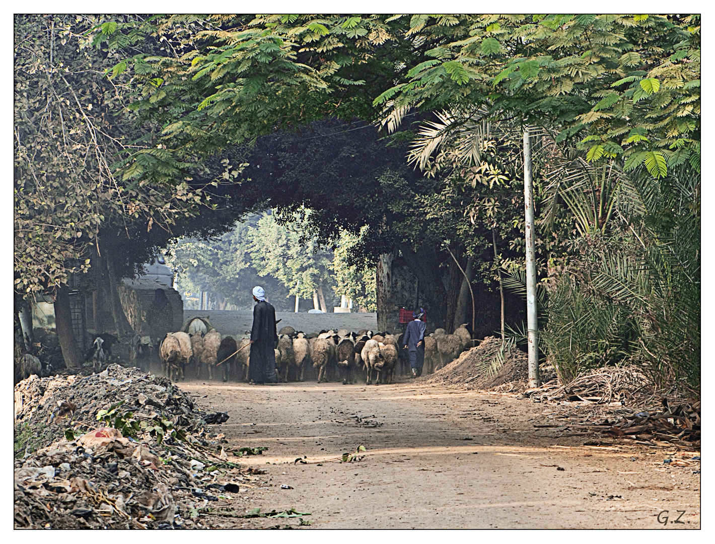 Morgens in Sakkara