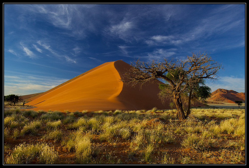 Morgens in Sossusvlei