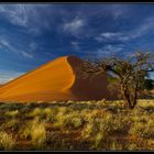 Morgens in Sossusvlei