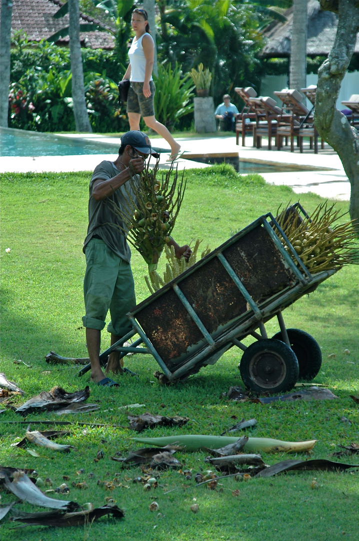 Morgens in unserer Hotelanlage in  Kandi Dasa (auf Bali)