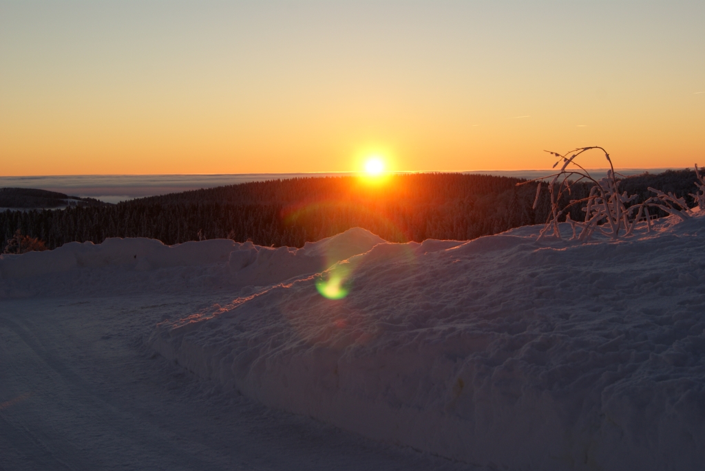 Morgens in Willingen