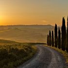 Morgens - Irgendwo bei Pienza