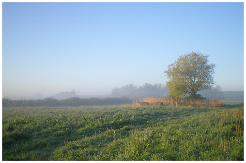 Morgens ist der schönste Tag.