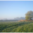 Morgens ist der schönste Tag.