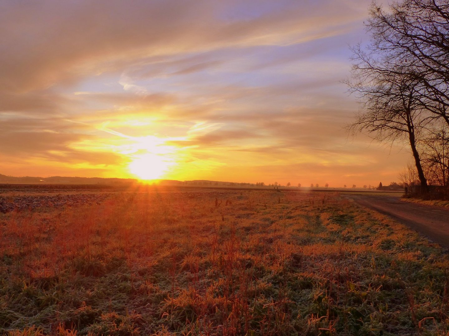 Morgens ist die Welt noch in Ordnung