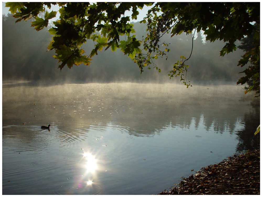 Morgens ist die Welt noch in Ordnung