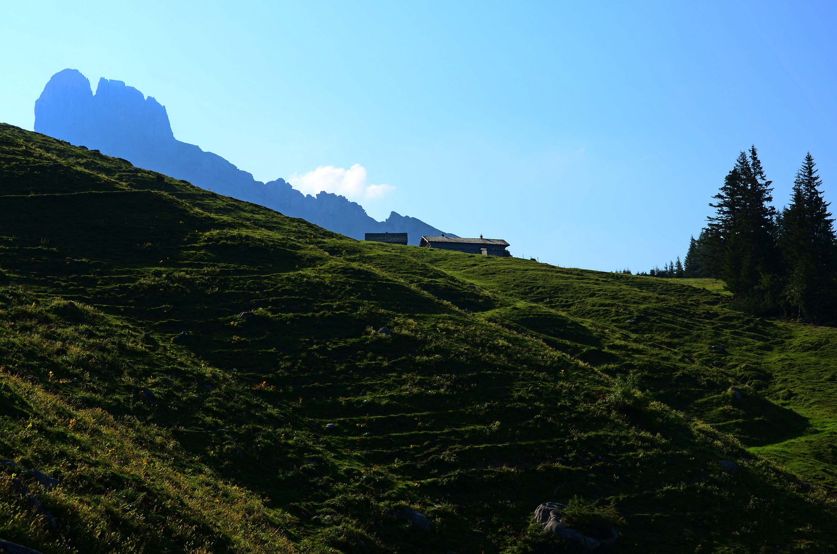 Morgens ist die Welt noch in Ordnung! Die Stuhlalm im Hintergrund die Bischofsmütze