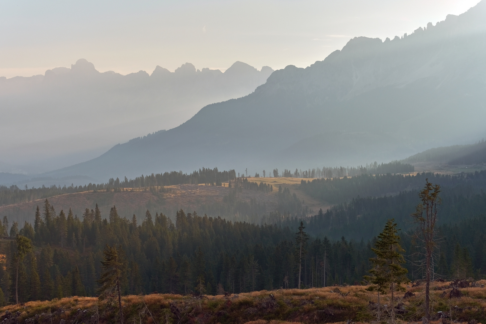 Morgens Jochgrimm