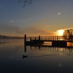 Morgens kommt die Sehnsucht