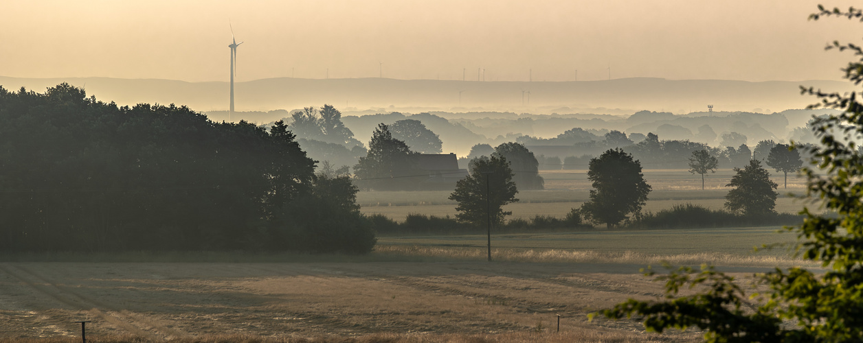 Morgens mit dem fahrrad unterwegs