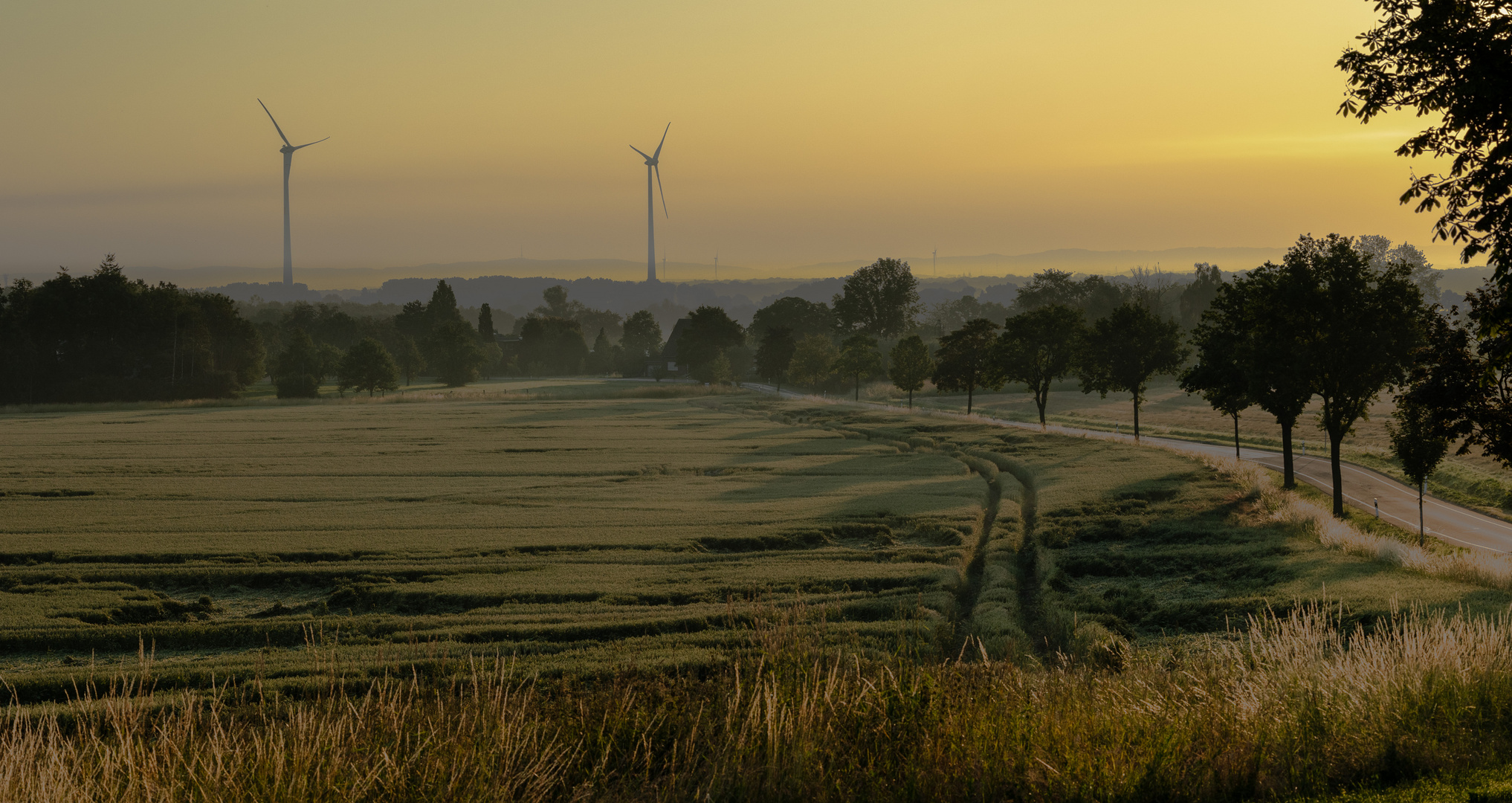 Morgens mit dem Fahrrad unterwegs